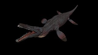 Pliosaurus Asset Showcase [upl. by Yednarb]