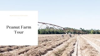 Southern Virginia Peanut Farm Tour [upl. by Levitt750]