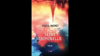 seine criminelle subtil polar de pascal marmet [upl. by Ailiec]