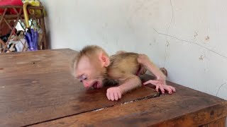 Newborn Baby Dramatic Cry On Table While Mom Busy [upl. by Elyac]