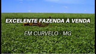 FAZENDA A VENDA EM CURVELO  MG [upl. by Ahsemat]