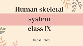 Human skeletal system  class IX ICSE board [upl. by Alves462]