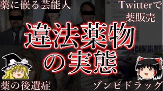 【ゆっくり解説】人が簡単に壊れる最強最悪の違法薬物 何故危険と分かっていながら使うのか？ 何故やめられないのか？ [upl. by Mercy]