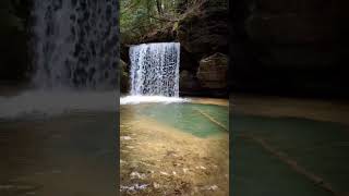 This is the best hike in the Sipsey Wilderness AL alabama waterfall alabamathebeautiful nature [upl. by Rome]