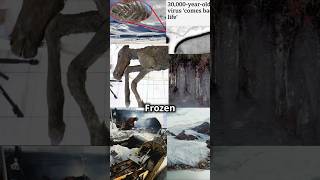 5 Shocking Discoveries Frozen In Ice Last One Will Blow Your Mind Part 2 [upl. by Hayton]