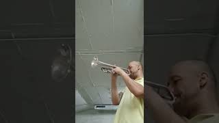 Los aristogatosRaimTrumpettrumpetlovers trumpetmusictrumpetertrumpet trumpette trumpetmusic [upl. by Nyroc608]