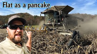 Feels like harvesting pancakes [upl. by Coffee]