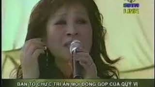 Thanh Thuy  MOT CHUYEN BAY DEM [upl. by Hillie]