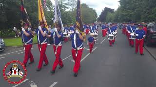 Downshire Guiding Star  Clogher Protestant Boys Parade 2024 [upl. by Coppock]