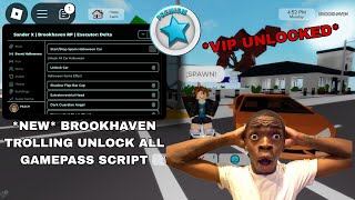 NEW Brookhaven Unlock All Gamepass Script  Sander X 🤑 FluxusHydrogenDeltaArceus X Mobile Hacks [upl. by Wilder]