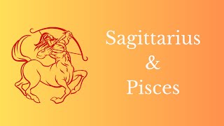 Learn Astrology 101  Sagittarius and Pisces  Your Bhagya and Karma in the Chart [upl. by Orthman]