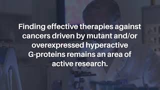 Polyisoprenylated Cysteinyl Amide Inhibitors Deplete GProteins in Cancer Cell Lines  Oncotarget [upl. by Bourgeois]