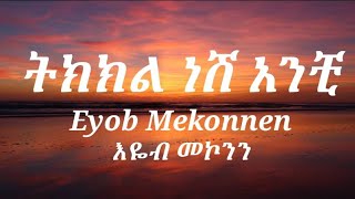 Eyob Mekonnen Tkekkl Nesh anchiእባብ መኮንን ትክክል ነሽ አንቺ New Ethiopia Music Lyrics 2022 [upl. by Elletnwahs473]