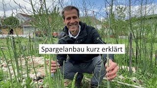 Spargelanbau für Zuhause in 8 Minuten erklärt 👌Wie bauen wir den König der Frühlingsgemüse an [upl. by Prospero301]