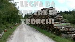 VENDITA LEGNA DA ARDERE PELLET TRONCHETTI PRESSATI TRUCIOLI CARBONE ALESSANDRIA INGROSSO ITALIANA [upl. by Klina84]