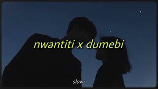 nwantiti x dumebi tiktok remix slowed  reverb [upl. by Ellennoj697]