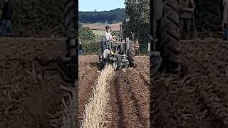 Fordson Model N Tractor at 2024 Southwell Ploughing Match  Saturday 28th September 2024 [upl. by Eelirak]