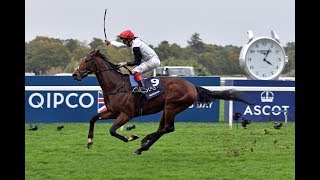 Cracksman  Co3rd Highest Rated Racehorse in the World for 2017 [upl. by Dorothee]