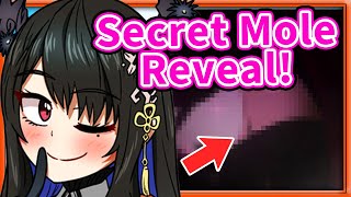 Nerissa REVEALS Her Secret Mole Location 【Nerissa Ravencroft  HololiveEN】 [upl. by Isnyl]