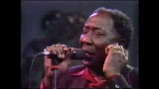 Muddy Waters  The Living Legends of Blues [upl. by Anisirhc]