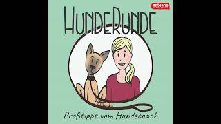 71 Herbst und Hund Was Hundecoach Liza immer wieder gefragt wird [upl. by Tonina726]