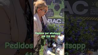 ¿Cuando trasplantar las plantas para su desarrollo Sígueme floresferrera ✅🌹 plantas [upl. by Sosna314]