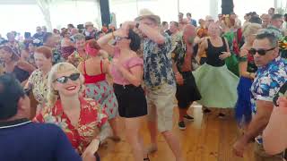 high rockabilly jiving 2024 [upl. by Hadsall315]