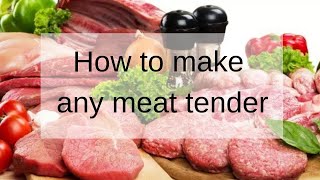 How To Tenderize ANY Meat [upl. by Granniah]