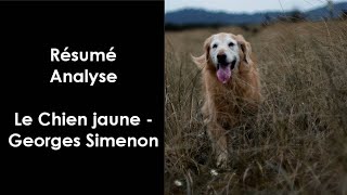 quotLe Chien jaunequot de Georges Simenon [upl. by Ayojal534]