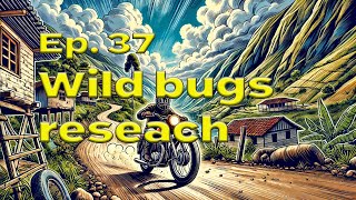 Ep 37 Wild Bugs Research [upl. by Imeaj]