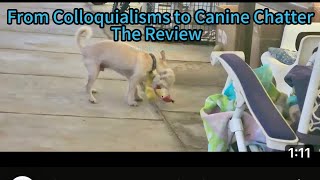 Review From colloquialism to canine chatter NeverSaidItWasU watertower HogAnn [upl. by Hamon11]