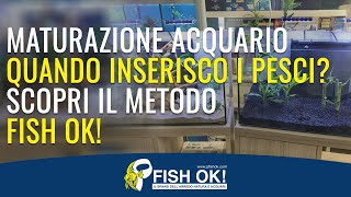 Maturazione Acquario quando inserisco i pesci Scopri il metodo Fish Ok [upl. by Florin192]