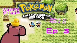 Pokémon Emerald Seaglass Chill Playthrough Ep 3 [upl. by Salbu153]