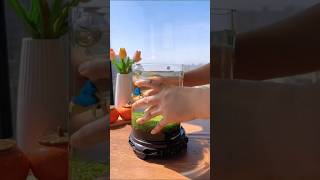 Amazing aquarium fishbowlsetup fishaquarium fishing aquariam fishtank fishbowl fishing [upl. by Dnalevets]