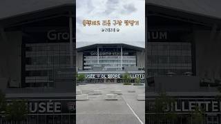 올림피크 리옹 구장 찍먹  Groupama Stadium Tour  벤제마랑 라카제트 [upl. by Crispas285]