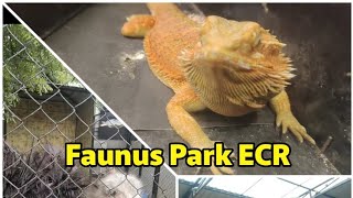 Faunus Park ECR Full Video  shorts reels instagood comedy funny prank alaparaigal [upl. by Nnarual]