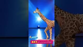 rap magic hiphop shorts human 🚶‍♀️transform into Giraffe🦒 Americas got talent giraffe 🦒🦒🦒 [upl. by Anaihs]