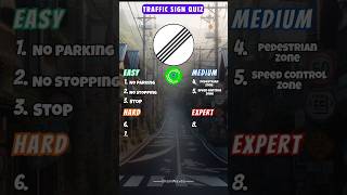 Can You Pass the Toughest Traffic Sign QUIZ Ever part 1 [upl. by Raff]