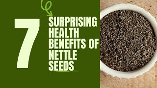 7 Surprising Health Benefits of Nettle Seeds You Need to Know [upl. by Annavaj]