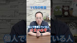 【11月の税金】令和6年2024年版 頭の整理！ 所得税 個人事業税 [upl. by Klein]