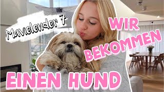 WIR BEKOMMEN EINEN HUND 🐶  MaVie Noelle [upl. by Letram]