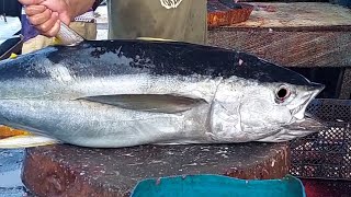 Amazing Skills of cutting tuna at Rufei and Puri Bridge Fish Market Live 11 Nov 24 [upl. by Hnib535]