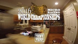 TINY WHOOP 2016 Micro Racing World Championships  Team BIG WHOOP  Inductrix FPV  Dronehaus 30 [upl. by Weatherley444]