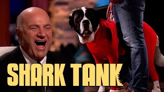 The Sharks COMPETE For A Deal With Shed Defender  Shark Tank US  Shark Tank Global [upl. by Adolph815]