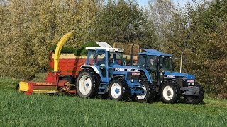 Ford 7710 amp New Holland 339 double chop  gras hakselen [upl. by Iormina740]