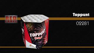 02281  Toppunt  Red Label Vuurwerk  Lesli Vuurwerk [upl. by Ahsia]