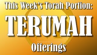 WP TORAH READING TERUMAH [upl. by Davey108]