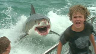 Terror Strikes as Great White Shark Jumps Aboard Boat And Targets Young Boy [upl. by Miculek273]