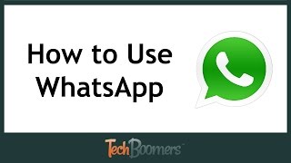 How to Use WhatsApp [upl. by Erihppas]