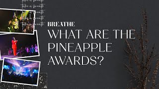 PINEAPPLE AWARDS BREATHE 2023 [upl. by Idaline]